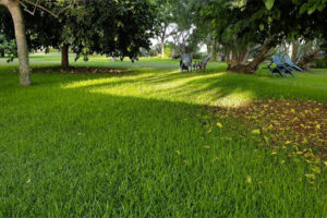 giardino dell'agriturismo Pozzo di Mazza di Siracusa